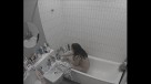 014-(7)