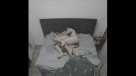 016-(7)