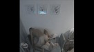 023-(10)