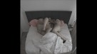 024-(1)
