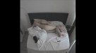 024-(7)