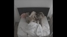 024-(9)